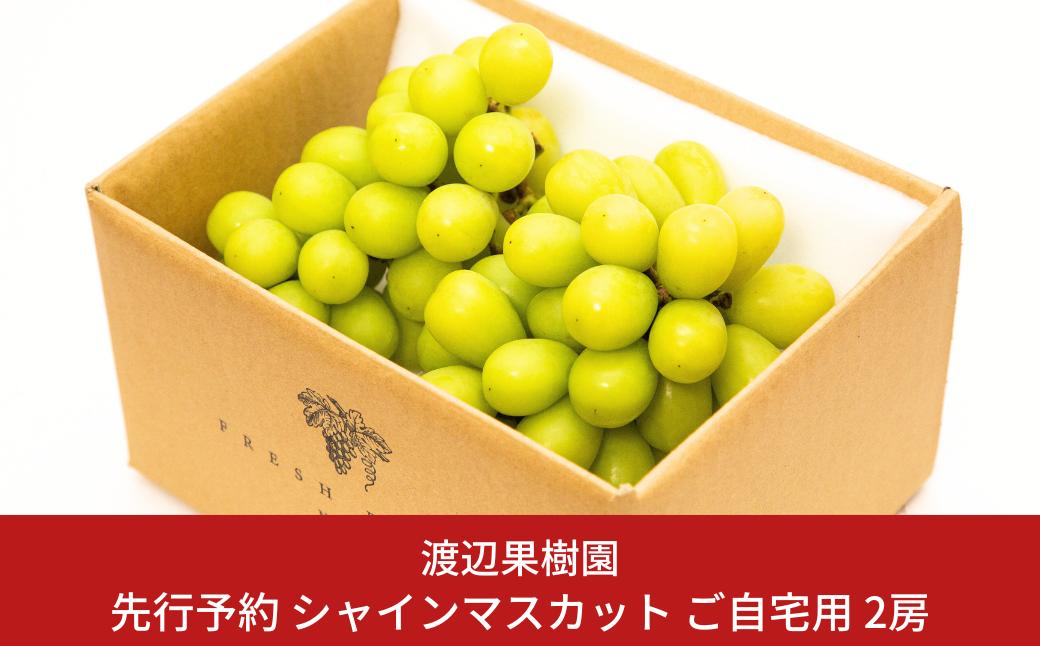 
            先行予約 シャインマスカット ご自宅用 2房 令和8年度 自家用 新潟県 三条市産 ぶどう [渡辺果樹園] 【014S151】
          