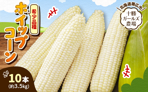 
                  先行受付＜十勝ガールズ農場＞希少品種「ホイップコーン」10本【1719276】
                