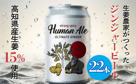 クラフトビール 350ml 22本 ジンジャー 高知 生姜 ビール