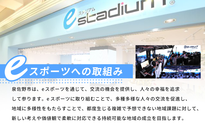 ボックスティッシュ 400枚（200組）×60箱【パルプ100% 日用品 消耗品 eスポーツ応援 泉佐野市オリジナル】 099H3422