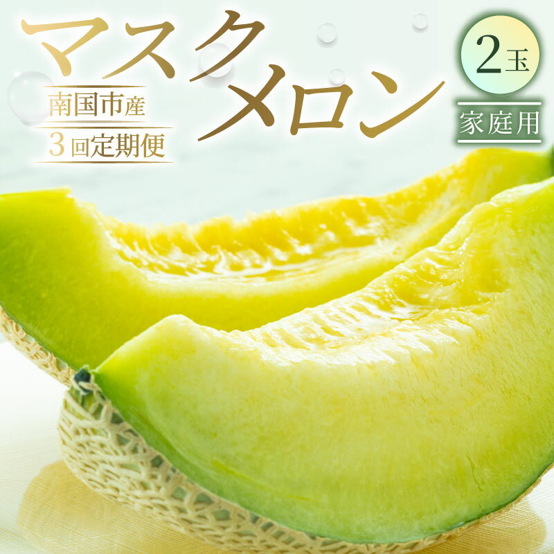 【ふるさと納税】 家庭用 メロン 2玉 3回 定期便 マスクメロン 2個 数量限定 フルーツ 果物 厳選 高級 青肉メロン 人気 デザート くだもの 旬 お取り寄せ 訳アリメロン 甘い 青肉 メロン 高糖度メロン 先行予約 訳あり 産地直送メロン 訳ありメロン 高知県 南国市