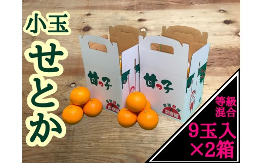 
                  ［2箱セット］甘っ子 小玉 ハウス せとか 9玉入 × 2箱 手さげ箱 南泰園
                