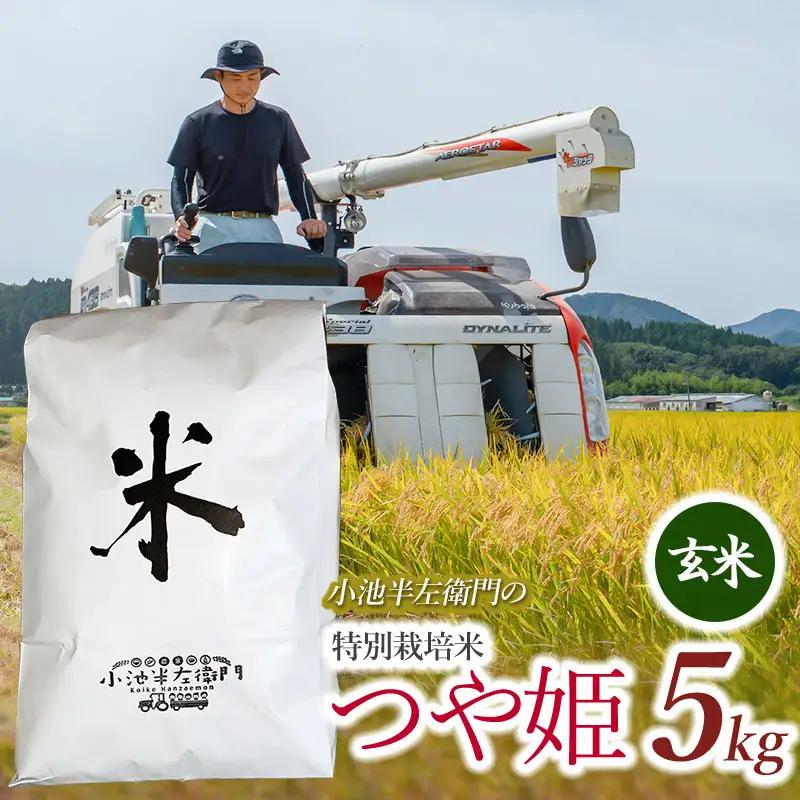 数量限定 【令和7年産】 山形県庄内産 小池半左衛門のお米 特別栽培米 つや姫 玄米 5kg (5kg×1袋)　