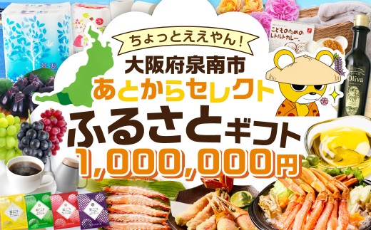 あとからセレクト【ふるさとギフト】100万円【119A-011】