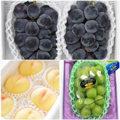 ふるさと納税 津山市 【発送月固定定期便】岡山県産 フルーツ定期便全3回 |  | 01