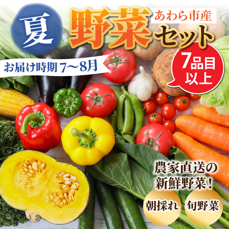 【先行予約】農家直送 夏野菜セット 1箱 7品目以上 《元気に育った新鮮野菜！》※2025年7月中旬以降発送