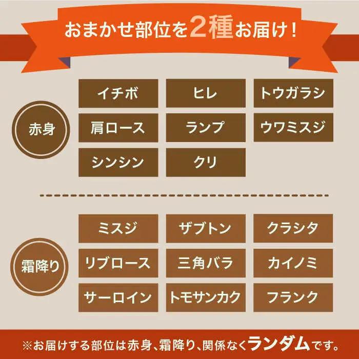【全3回定期便】1ヶ月に1度の佐賀牛ひとり贅沢コース ステーキ/焼肉/スライス 牛肉 希少 赤身 カルビ ヒレ サーロイン モモ 切り落とし[FAY065]