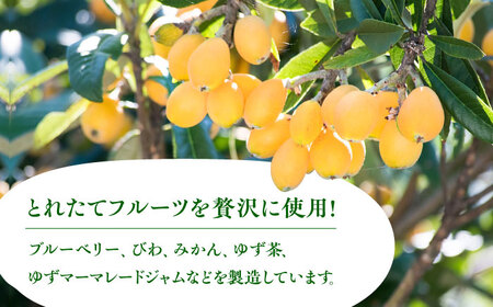 対馬の フルーツジャム 6本(3種類以上)セット《対馬市》【対馬コノソレ】フルーツ 果肉 詰め合わせ ジューシー 朝食 食べ比べ 島の瞳 ゆず ジャム ソース[WAM019] コダワリジャム こだわり