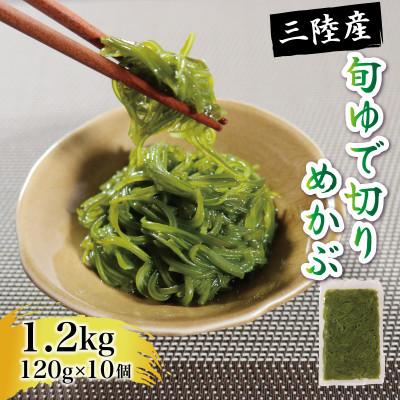 ふるさと納税 大船渡市 旬ゆで切り めかぶ 120g×10袋 計1.2kg 冷凍[56500358_1]