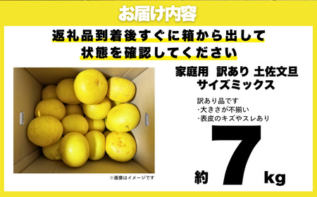 訳あり 土佐 文旦 7kg サイズ ミックス ご家庭用 送料無料 産地直送 農家直送 フルーツ 果物 柑橘 ぶんたん ジューシー 旬の味覚 爽やか 香り プリプリ 食感 大玉 小玉 サラダ デザート 