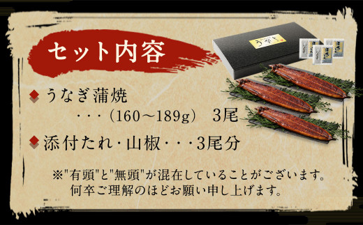 九州産 うなぎ 蒲焼 上 3尾 (1尾あたり160～189g)