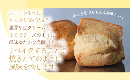 国産発酵バター仕込み濃厚リッチな九州産生クリームスコーン プレーン4個セット | お菓子 菓子 おかし 洋菓子 焼き菓子 イギリス菓子 プレーンスコーン おやつ デザート スイーツ 手作り ティータイ