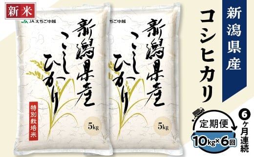 75-7N106【6ヶ月連続お届け】新潟県長岡産コシヒカリ10kg（特別栽培米）【2025年10月下旬発送開始】