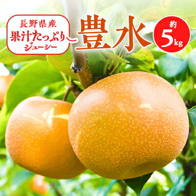 【ふるさと納税】2025年秋!信州の梨【豊水】約5kg　果汁たっぷりジューシーな梨!_ なし 梨 ナシ 果物 くだもの フルーツ 青果 国産 産地直送 信州 季節限定 長野県 贈答 ギフト プレゼント 人気 おすすめ 送料無料 お取り寄せ 【配送不可地域：離島】【1041411】