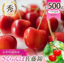 【ふるさと納税】【令和7年産先行予約】 さくらんぼ 「紅秀峰」 約500g (秀 2L以上) パック詰め 《令和7年6月下旬～発送》 『生産者 佐藤 勇二』 サクランボ 果物 フルーツ 産地直送 生産農家直送 山形県 南陽市 [2235]