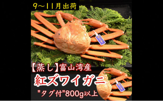 
            【9-11月出荷】蒸し紅ズワイガニ 1杯（約800g以上） ｜ 甲殻類 海の幸 海鮮 蒸し加工 水揚げ 後すぐ 旨味 凝縮 晩酌 お酒 お供 あて 肴 つまみ 富山県産 魚津市産 ※2025年9月下旬～11月下旬頃に順次発送予定 ※北海道・沖縄・離島への配送不可
          