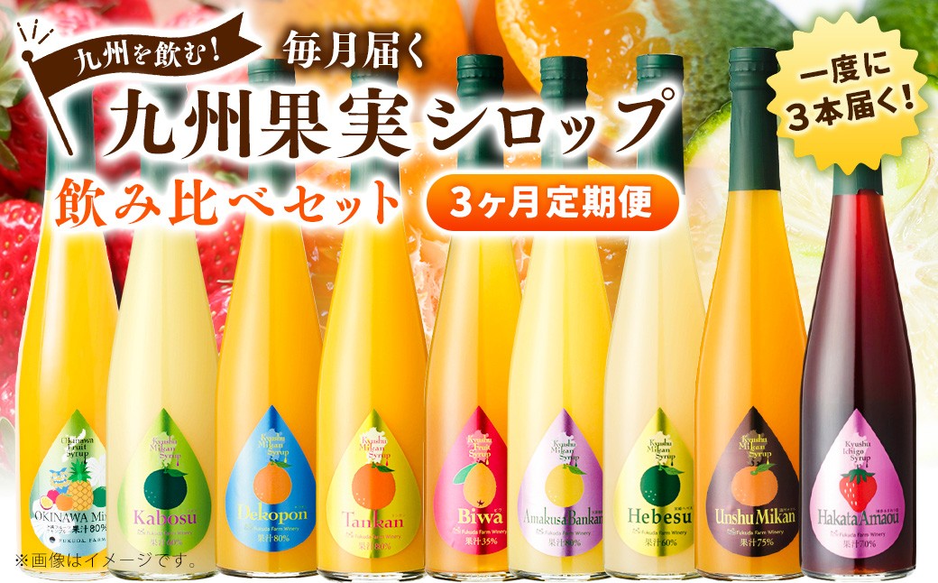 
                  【3ヶ月定期便】 九州を飲む！毎月届く 九州果実シロップ 飲み比べセット 500ml×3本×3回 果物 フルーツ ジュース 
                