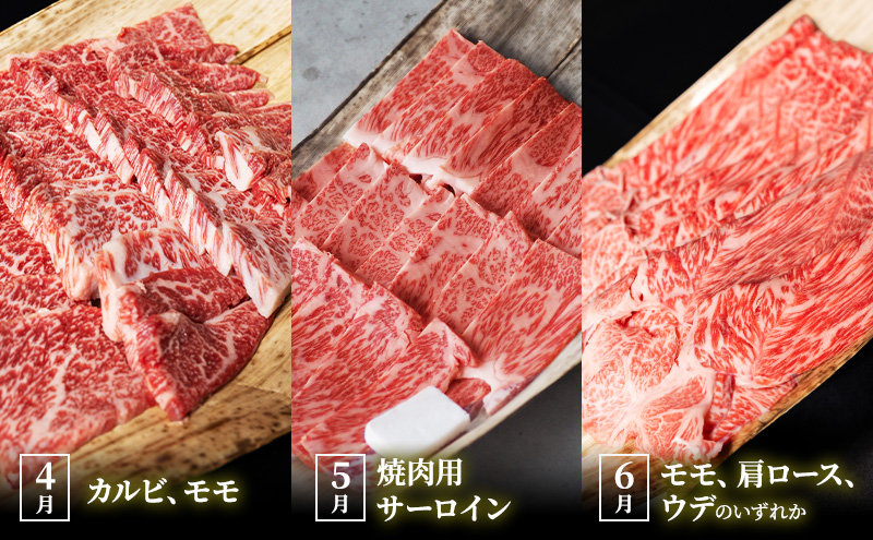 【肉の千石屋】【定期便:5～7月お届け】3ヶ月連続お届け近江牛 A5ランク 毎月違うお肉が届く！お肉の定期便 ブランド牛 肉 お肉 牛 和牛 冷蔵