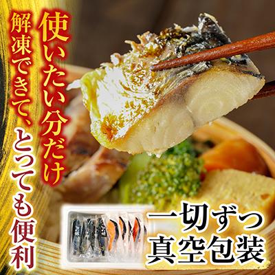 ふるさと納税 根室市 [個包装]塩さばフィレ1枚×8P&塩銀鮭切り身10P A-09042 |  | 02