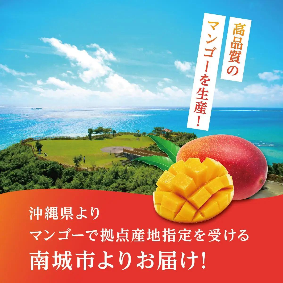 ＜訳あり・ご家庭用＞幻のキーツマンゴー約2kg（白箱）2玉～7玉   