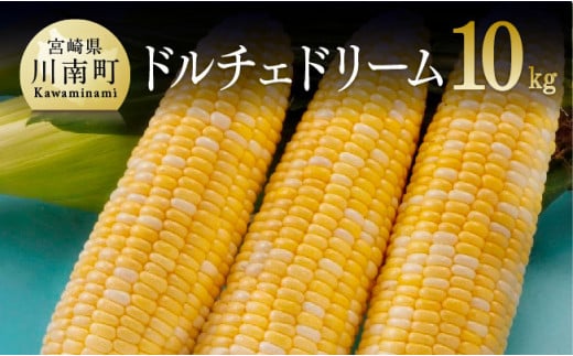 【令和7年発送】朝どれ！守部さんちのドルチェドリーム10kg【 先行予約 数量限定 期間限定 とうもろこし スイートコーン トウモロコシ スィートコーン 令和7年発送 】