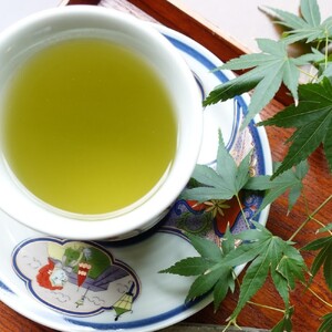 いろどり ティーバッグ 玉茶箱 （6種類 53杯分） 緑茶 お茶