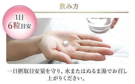 76165_DHCグルコサミン 30日分 3個セット（90日分） MBB032