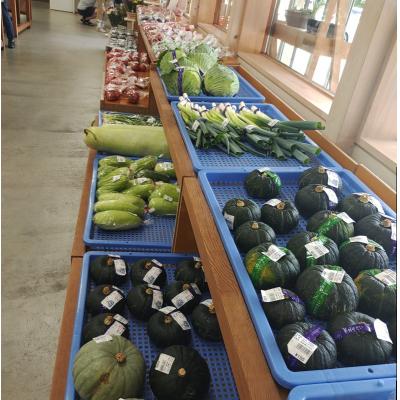 ふるさと納税 小川村 さんさん市場　やさい名人がチョイスする新鮮季節の野菜セット*301 |  | 01