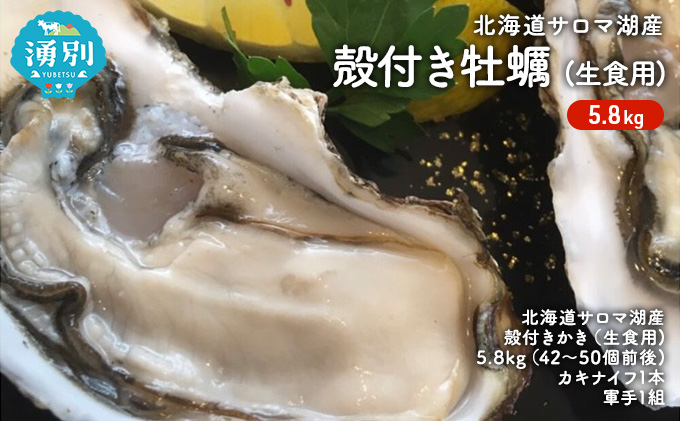 北海道 サロマ湖産 殻付き かき 生食用 5.8kg 牡蠣 カキ 海鮮 