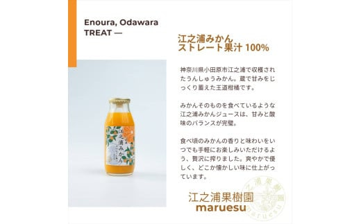小田原産江之浦みかんジュース5種のみくらべ10本セット うんしゅう・しらぬい・ゴールデン・なつみ・バレンシアオレンジ100%ストレートジュース180ml各2本合計10本