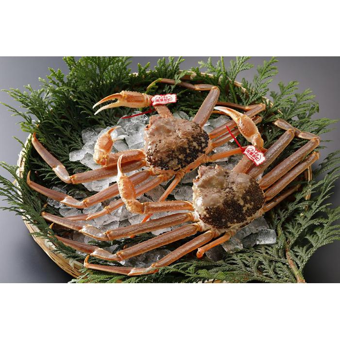 【ふるさと納税】鳥取県産 タグ付き生松葉がに【中村商店】 | かに カニ ずわいがに 蟹 送料無料