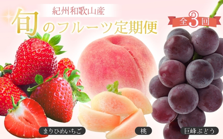 【全3回】紀州和歌山産 旬のフルーツ定期便（いちご・桃・巨峰） 【tkb400】