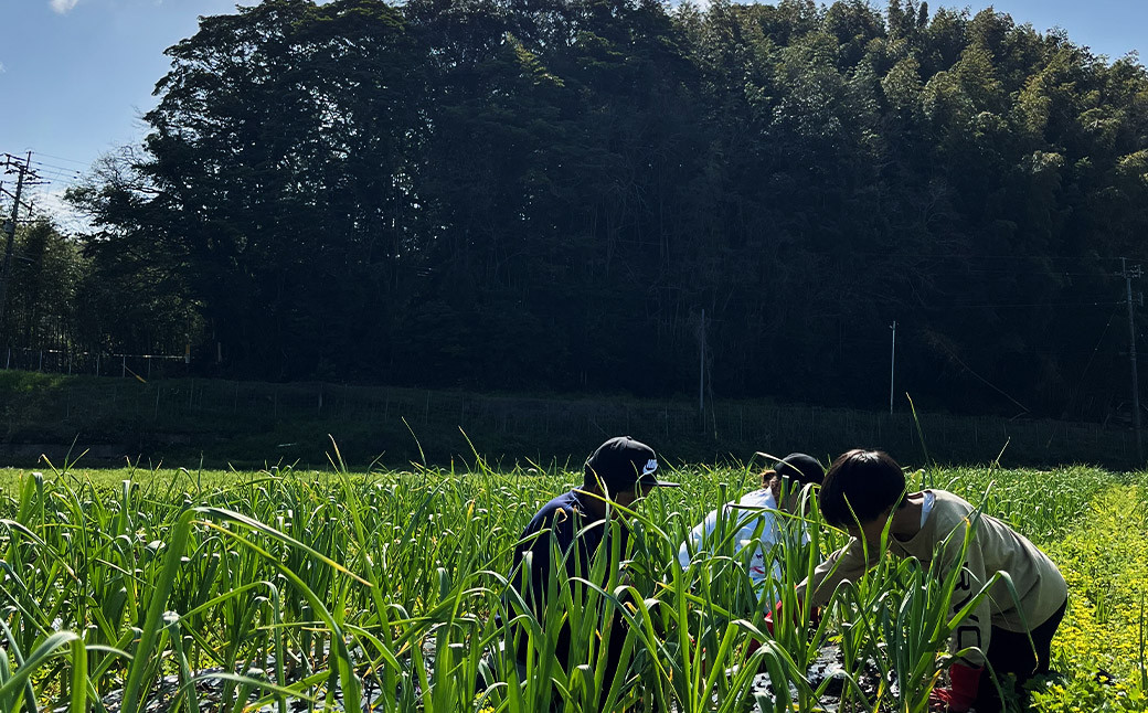 福岡県産黒にんにく100g2個入り