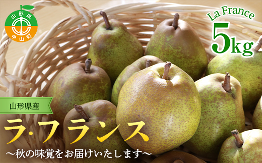 山形県産ラ・フランス 特秀5kg(13～18玉)　11月上旬から発送開始 果物 くだもの フルーツ ラフランス 洋梨 西洋梨 洋ナシ洋なし 秋果実 F4A-0253
