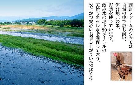 土佐のシャモ　Aセット
