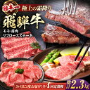 【ふるさと納税】【全4回定期便】 飛騨牛 モモ・肩肉 リブロースステーキ 総計2.3kg しゃぶしゃぶ 焼肉 すき焼き / 牛肉 飛騨牛 和牛 / 白川町 / 浅井商店[AWBJ010]