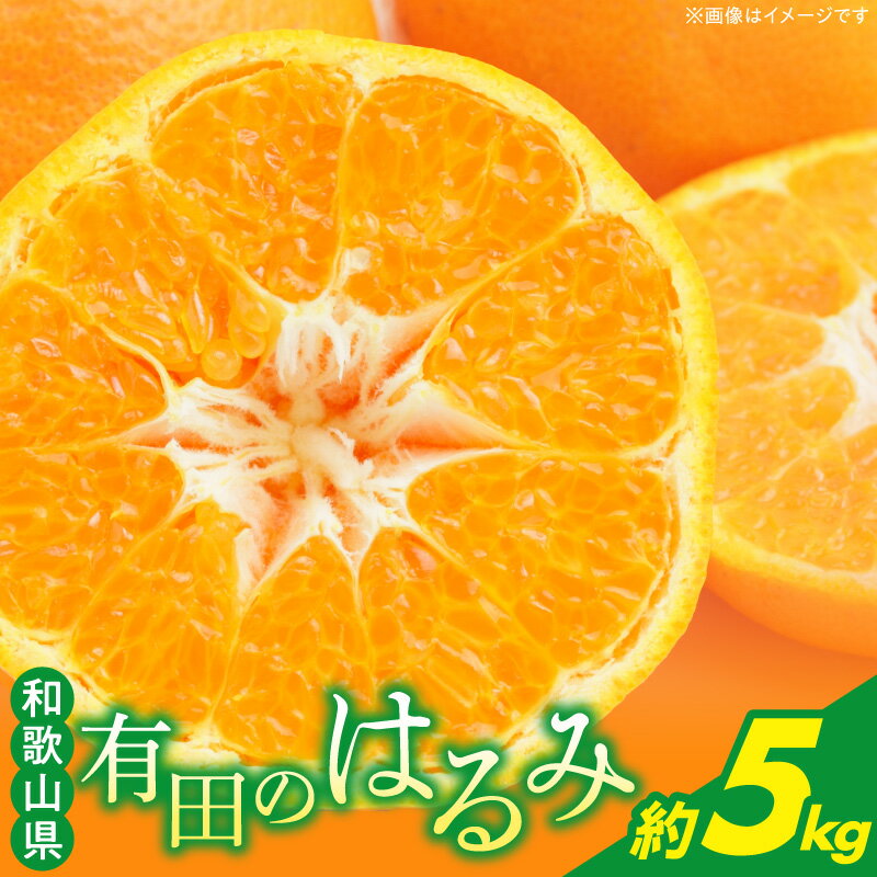 【ふるさと納税】【限定】 【2027年先行予約】 有田の はるみ みかん 約5kg 高糖度 甘い 薄皮 食べやすい ジューシー 旬 フルーツ 果物 和歌山 有田 ブランド 人気 お取り寄せ デザート おやつ 家族 子供 満足 おすすめ 旬の果物 柑橘 産地直送 和歌山県 湯浅町 送料無料