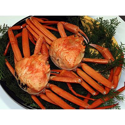 ふるさと納税 養父市 【発送月固定定期便】カニの定期便(竹)＜冷凍発送＞全3回 |  | 02