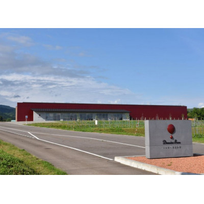 Domaine Beau 立野原 hineri オレンジ 2023【配送不可地域：離島】