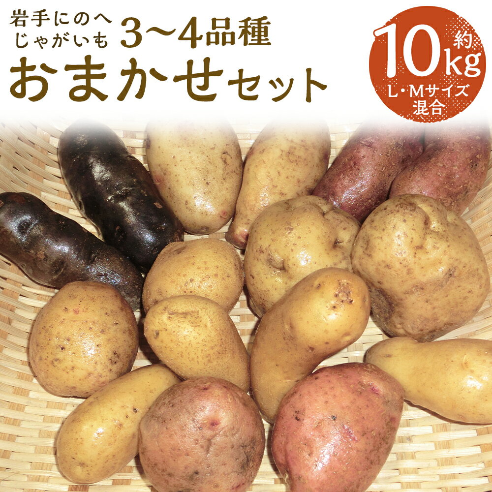 【ふるさと納税】厳選品 岩手にのへじゃがいも「伝」 3～4種 品種おまかせ 約10kg L・Mサイズ混合 ランダム おまかせ セット じゃがいも 芋 じゃが芋 野菜 二戸市産 岩手県産 国産 送料無料【2025年9月中旬～2026年2月下旬に順次発送予定】