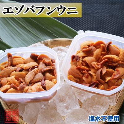 ふるさと納税 根室市 【年内配送可】エゾバフンウニケース詰め(赤系)約40〜60g[10月中旬以降発送] G-71006