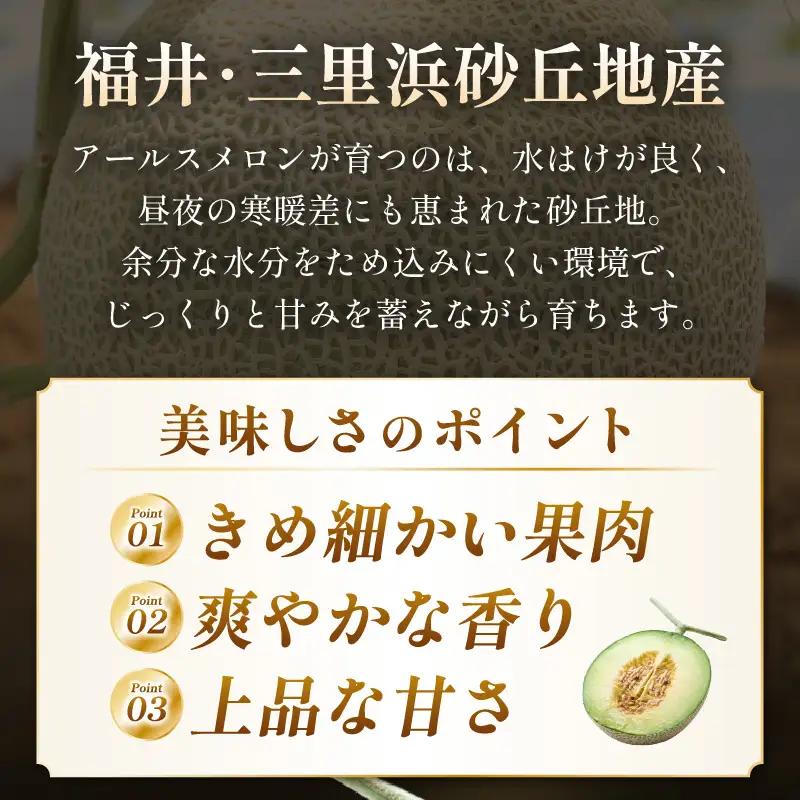  三里浜アールスメロン 3L以上 × 2玉 2026年9月上旬より発送 メロン フルーツ [A-16522]