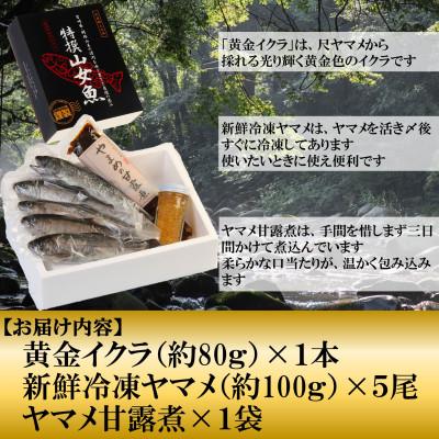 ふるさと納税 三股町 黄金イクラと新鮮冷凍ヤマメセット【A-0202】 |  | 01