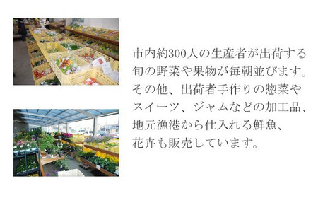 白米 精米 「新居の恵み （にこまる） 令和7年産」 5kg と 季節の野菜 約2kg セット （クール便でお届け）