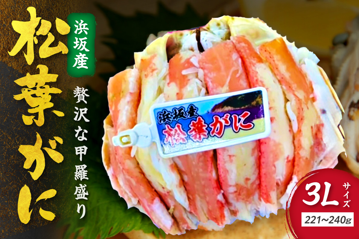 松葉ガニ甲羅盛3Lサイズ 1個 カニ 松葉蟹 ズワイガニ 甲羅盛 ふるさと納税 カニ　SK00273