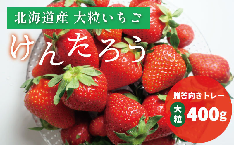 
                  【100組限定】おがファームの道産子いちご 大粒「けんたろう」400g　E026
                