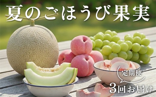 
                  【2027年先行予約】 夏のごほうび果実定期便 FSY-2932
                