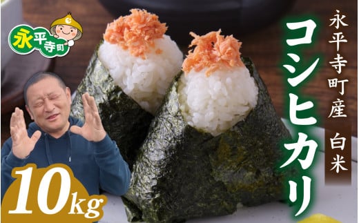 【先行予約】永平寺町飯島産　コシヒカリ 【白米】10kg /ふるさと納税 米 10kg こしひかり 10キロ  福井県 永平寺町 の おいしい お米 発祥の地 こめ おこめ 白米 精米 国産 限定 ごはん ご飯 白飯 ゴハン あまみ ふるさと ランキング 人気 おすすめ 送料無料 産地直送 農家直送 福井県 永平寺 国産米 [C-074001]