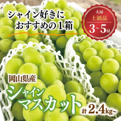 
                  シャインマスカット 上級品 大3-5房/計2.4kg～(岡山県産) 食べ応え満点のシャインをお届け!_シャインマスカット マスカット ぶどう 葡萄 ブドウ 甘い 果物 くだもの フルーツ 岡山県 津山市 ギフト プレゼント 送料無料【1548983】
                