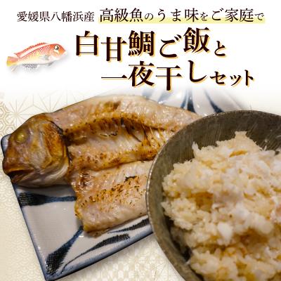 ふるさと納税 八幡浜市 高級魚・白甘鯛ご飯と一夜干し【E26-10】
